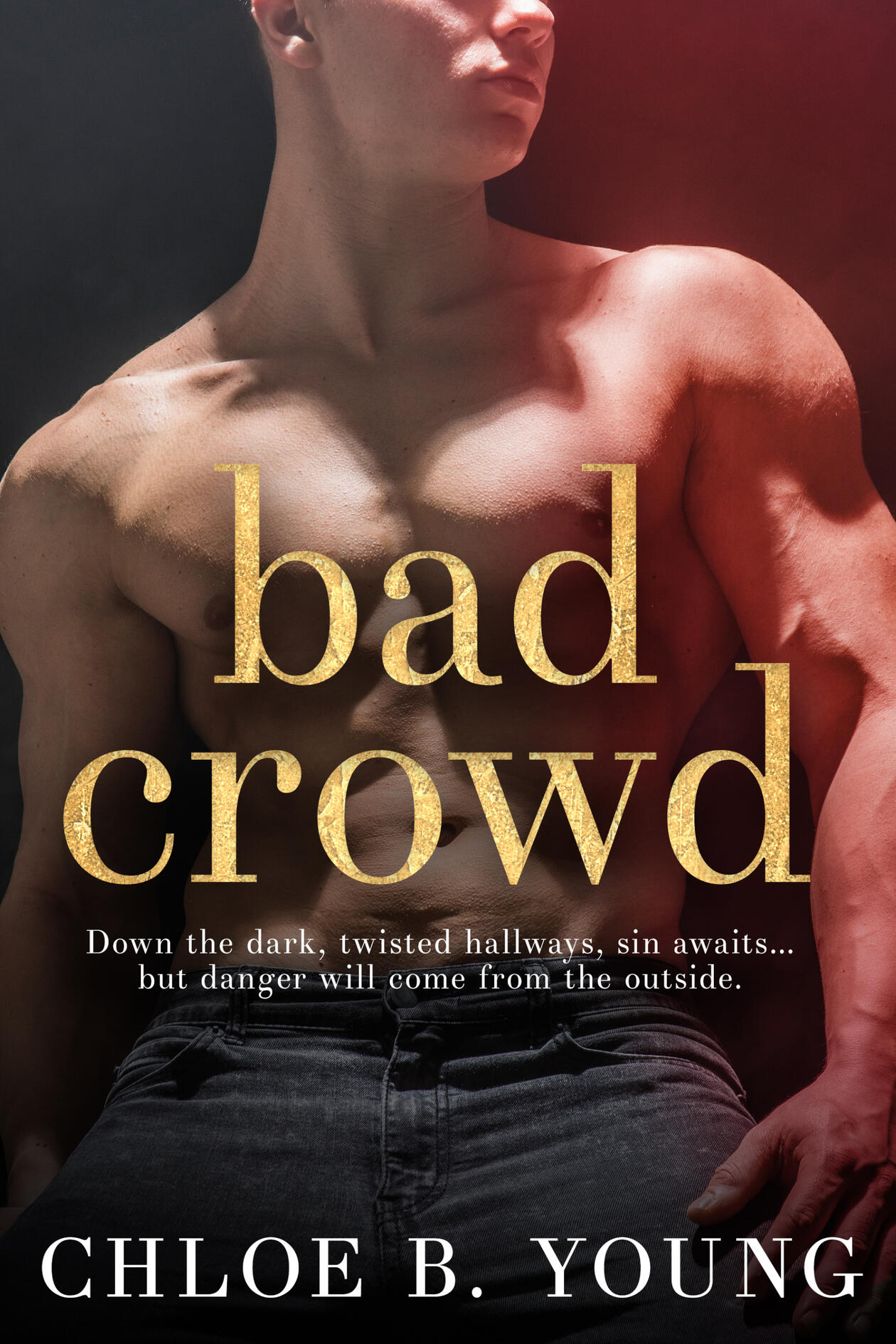 Book cover depicting a shirtless man in black jeans. The cover reads Bad Crowd Chloe B Young